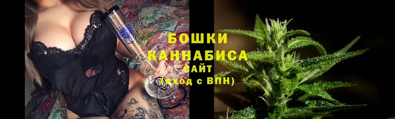 Шишки марихуана THC 21%  сайты даркнета формула  Пестово 